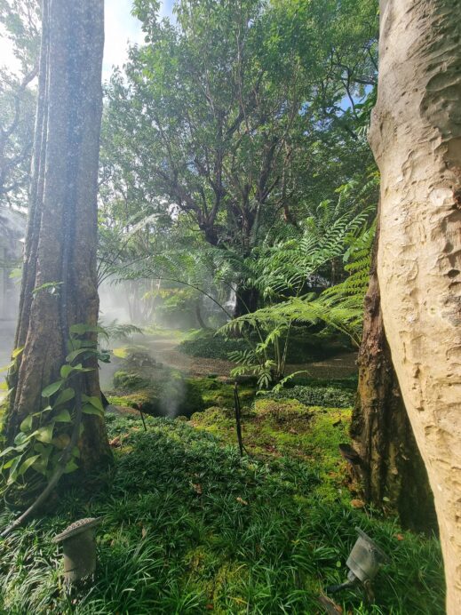 Beautiful Southeast Asia destinations- Chom tall trees at Chom Cafe