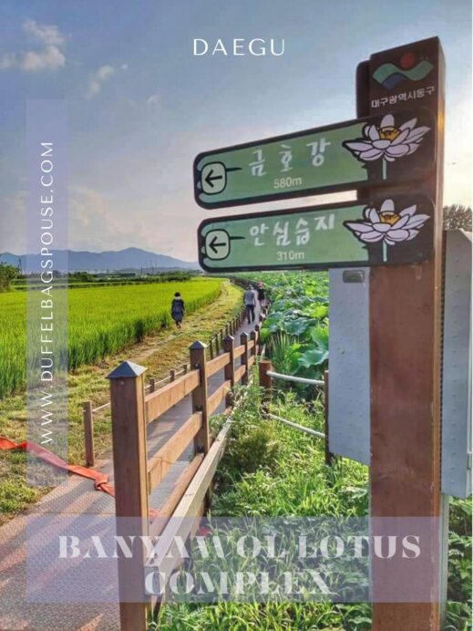 Banyawol Lotus Complex sign pinterest pin