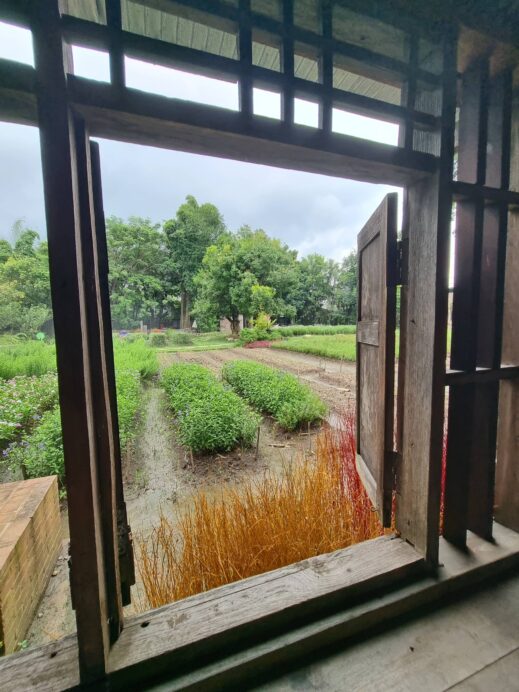 Dantewada Land of Angels Waterfall Park window col