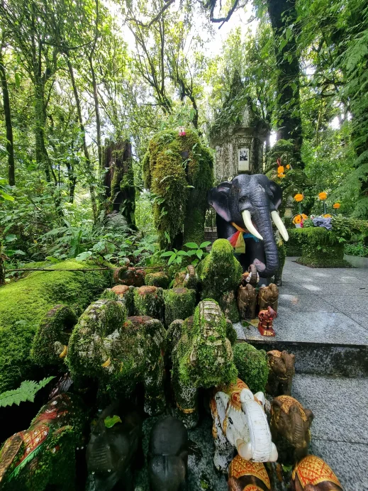 Doi Inthanon, nature trail, elephant, offerings