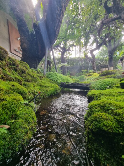 river flower and koi pond in front of Chom Cafe