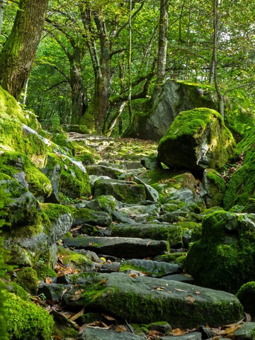 HIKING-THE-GORMAN-TRAIL-Colorado-Bend-State-Park-2-1