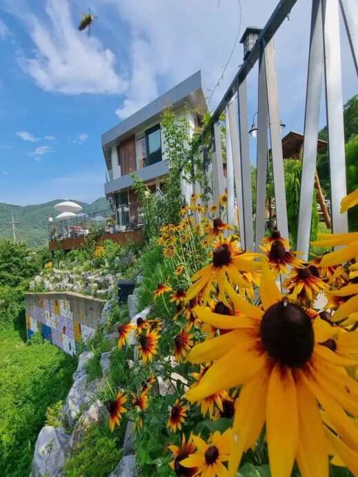 Hyang-Gallery-Cafe-sunflowers