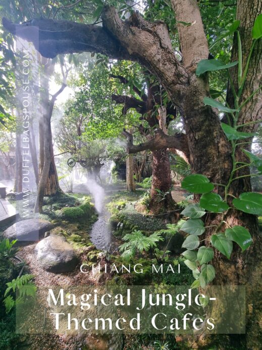 Jungle-Themed Cafes in Chiang Mai Pinterest Pin