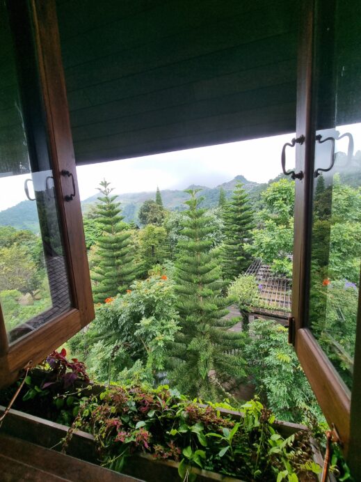 Mon Jam Sanctuary in Chiang Mai