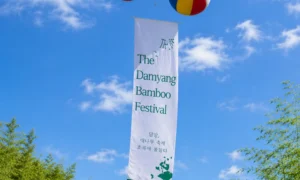 The™ Damyang Bamboo Festival