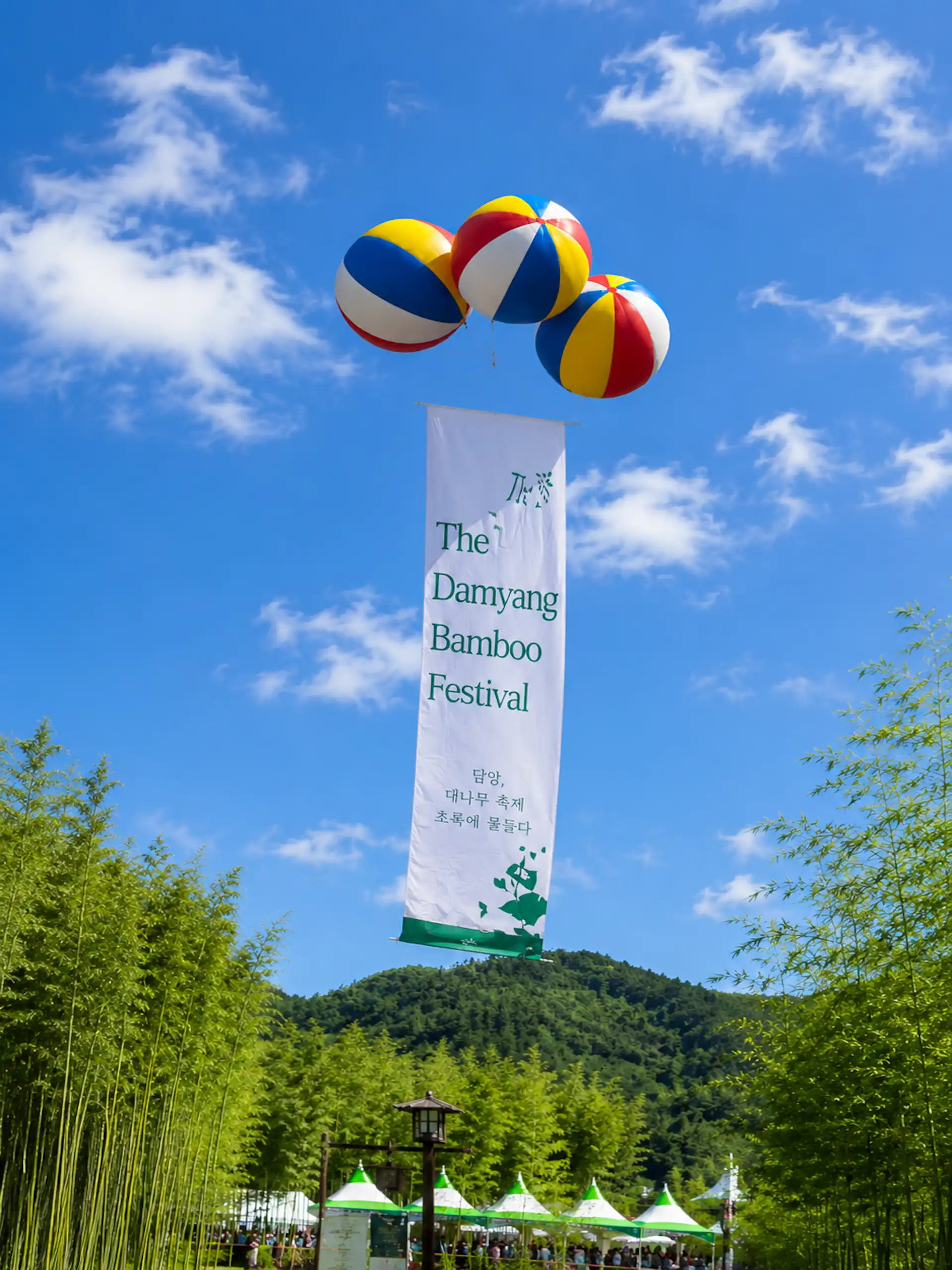 The™ Damyang Bamboo Festival