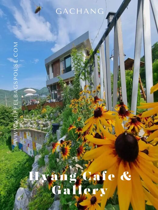 Hyang-Gallery-Cafe-sunflowers