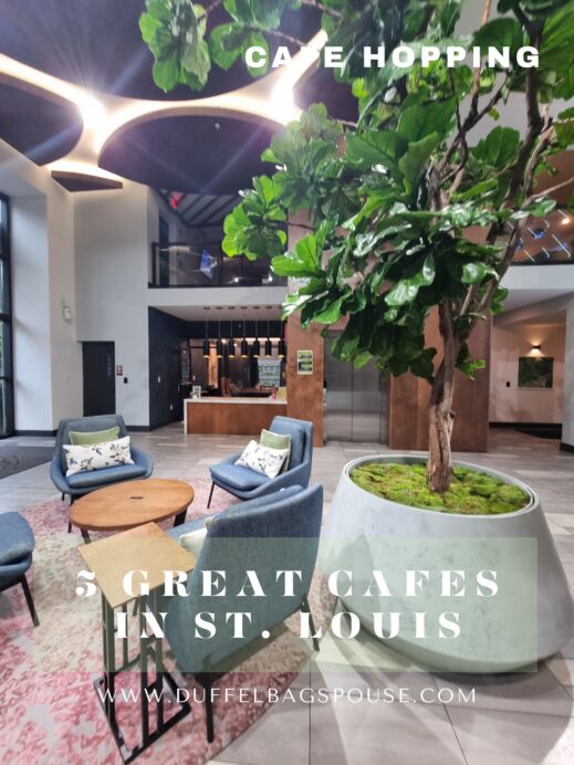 5 great cafes in St. Louis Pinterest pin