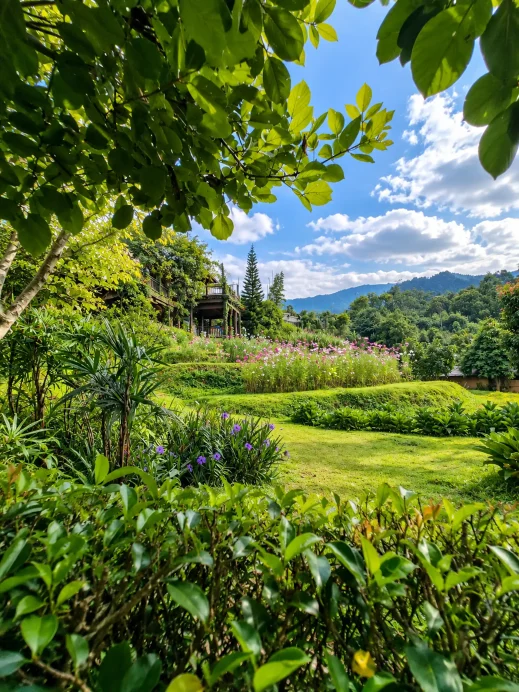 Baan Mon Muan Hotel, garden