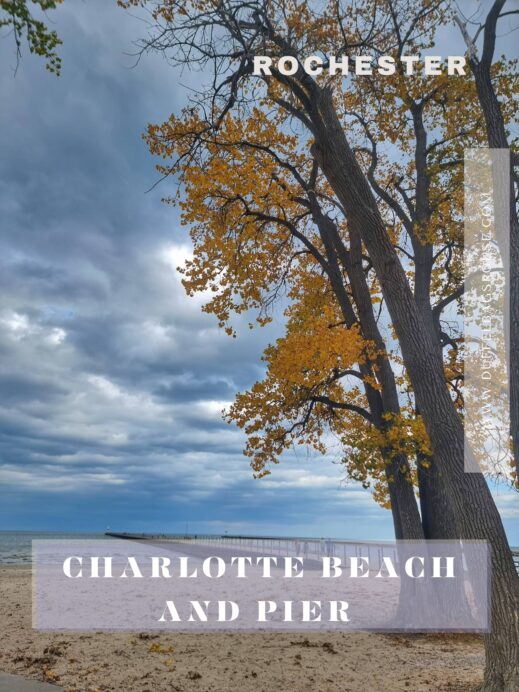 Charlotte Beach Pinterest pin