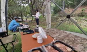 Day camping, Galbi day camping in South Korea