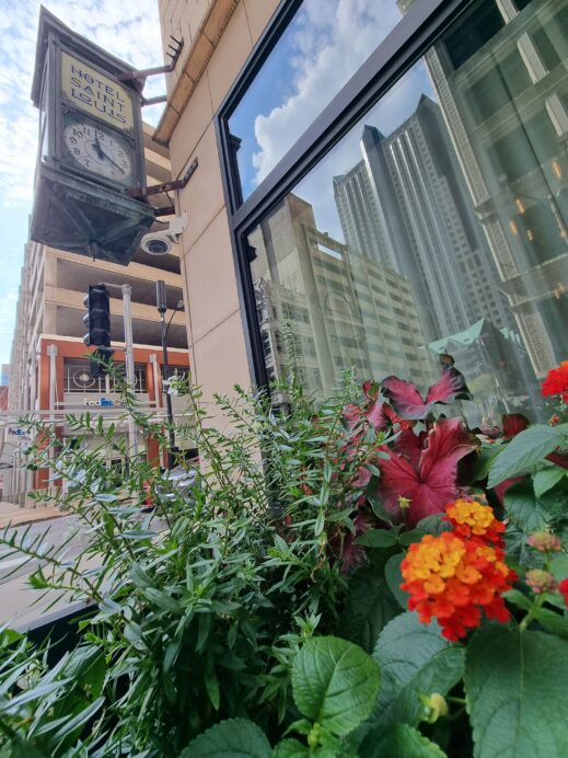 Flower reflection with clock