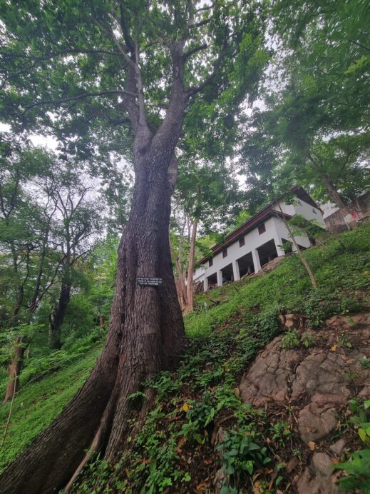 Phousi Hill Luang Prabang Laos inspire