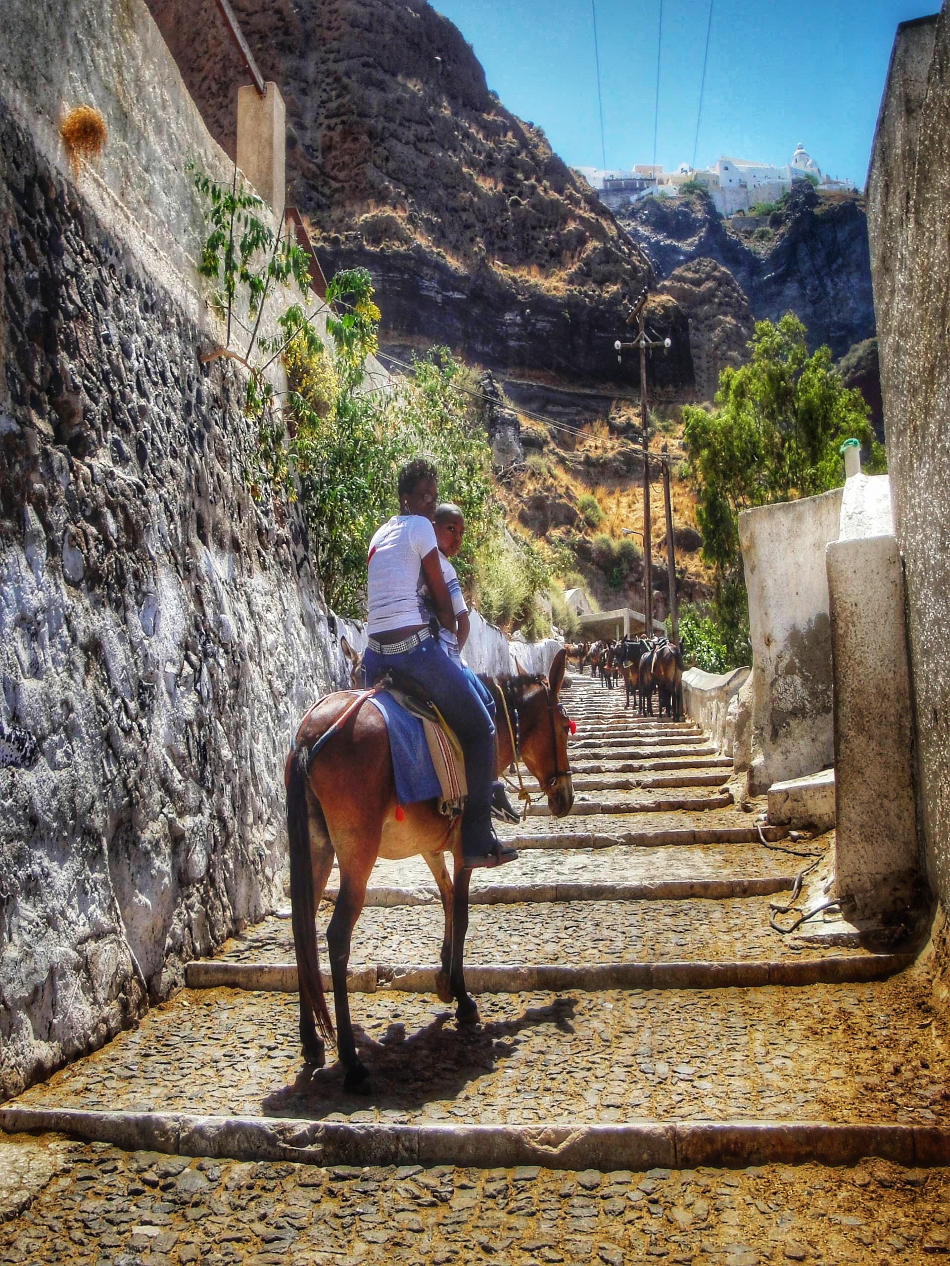 Santorini Greece donkey ride Ashley and Malik