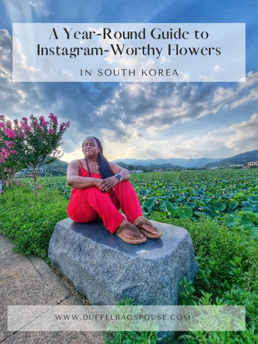 Passionate about water lillies? Explore South Korea's vibrant flower blooming calendar with this Year-Round Guide to Instagram-Worthy Flowers.