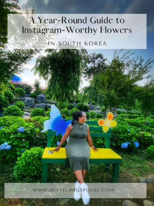 Passionate about hydrangeas? Explore South Korea's vibrant flower blooming calendar with this Year-Round Guide to Instagram-Worthy Flowers.