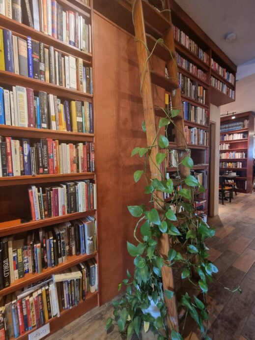 book cafe Green plant on ladder