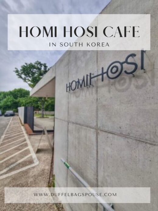 Homi-Hosi-Cafe-in-Gyeongsan-South