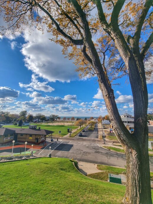 St. Joseph- tree view