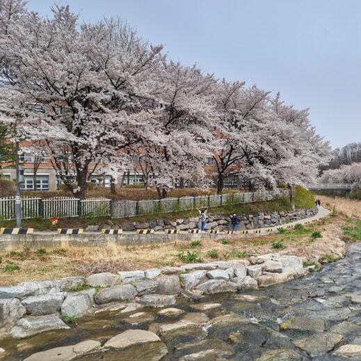 Uksucheon Stream right, path