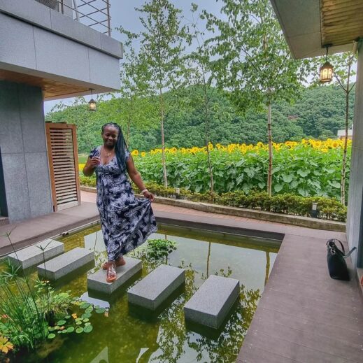 Gyeongju Sunflowers stepping stones