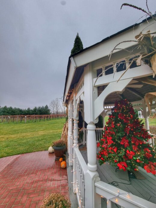 Lavender Crest Winery poinsettia