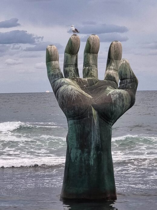 hand with sea birds