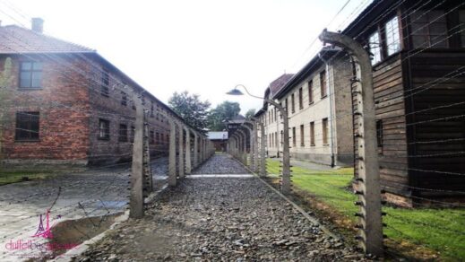 barbed wire fencing Auschwitz-in-Poland