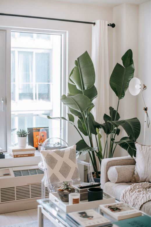 How Make Your House into a Home- tree