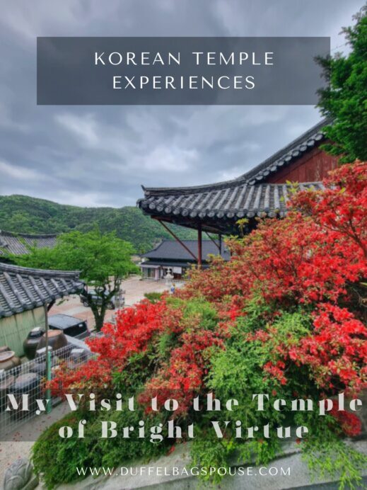 My-Visit-to-the-Temple-of-Bright-Virtue