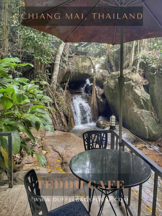 TEDDU CAFE IN CHIANG MAI