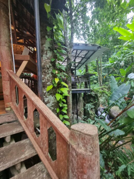 Teddu Cafe entrance