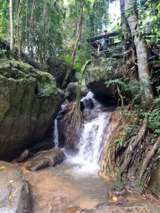 Teddu cafe waterfall
