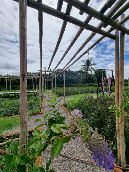 wooden trellis at The View Hotel in Chiang Dao