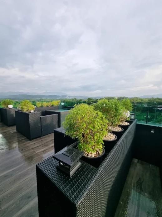 The View, bushes, rooftop