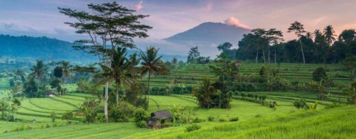 bali-43980090-1546424524-ImageGalleryLightboxLarge