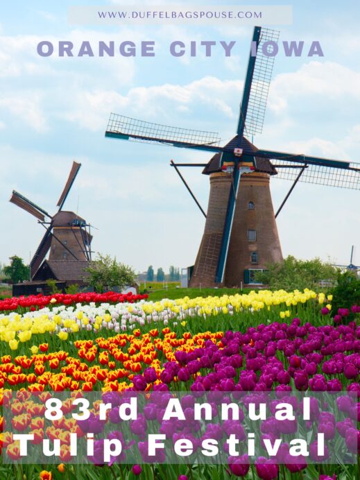 Experience a celebration of culture at the Tulip Festival in Orange City- tulips, Dutch street organs, crafts, parades, and live performances Pinterest pin
