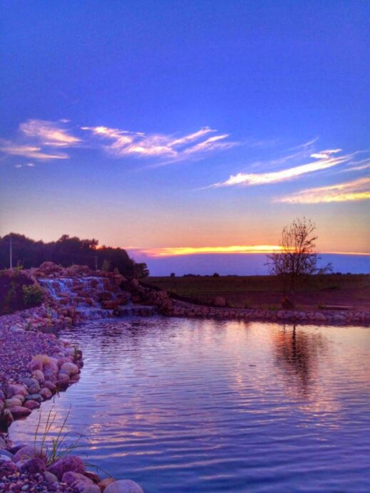 Serenity Pond- The TYCOGA Winery & Distillery is a pretty winery surrounded by a 26-acre vineyard near Davenport, Iowa, serving wine, spirits, and pizza.