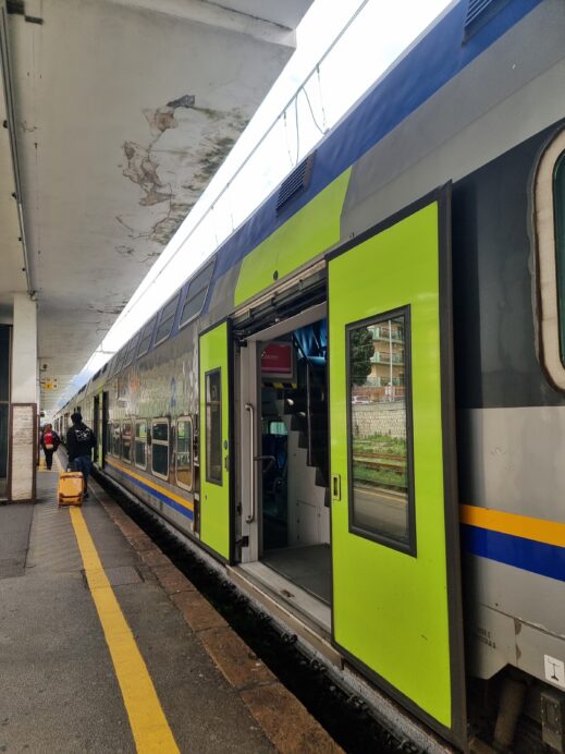 Green train doors