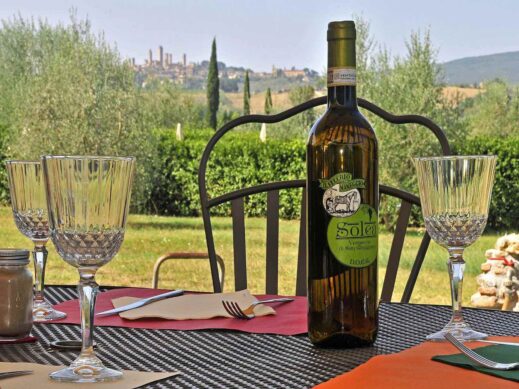 Il-Vecchio-Maneggio-bottle-wine-519x389 A Day in Tuscany: Organic Winery and Local Food at Il Vecchio Maneggio