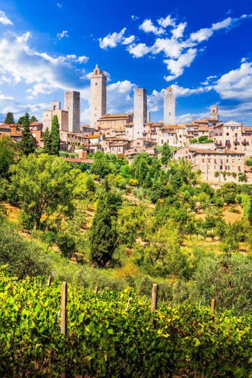 San-Gimignano-towers-519x778 A Day in Tuscany: Organic Winery and Local Food at Il Vecchio Maneggio