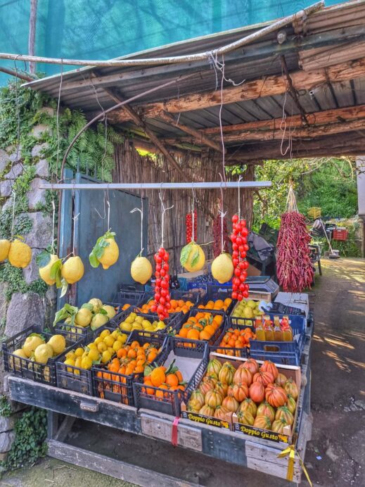 Vegetables Italy