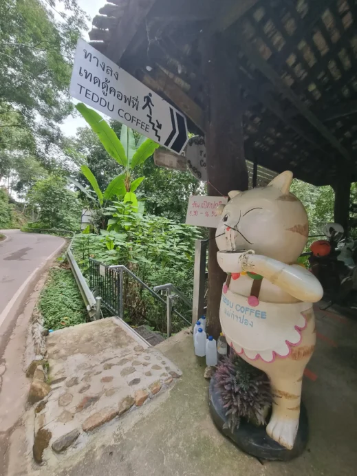 Teddu Cafe, Mae Rim, Thailand, cat statue