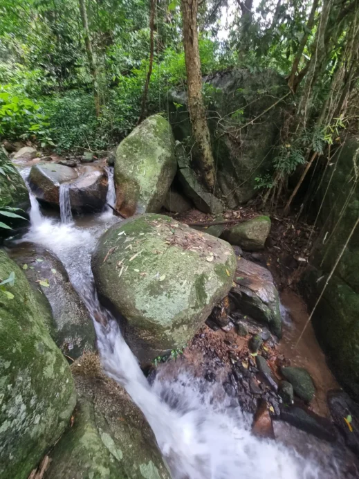 Teddu Cafe, Mae Rim, Thailand, river flow