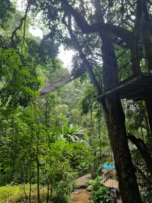 Teddu Cafe, Mae Rim, platform from below