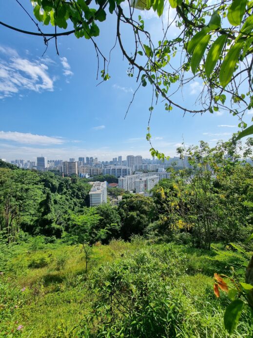 hiking Faber Peak Singapore hike