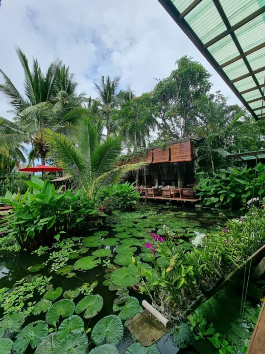Manda de Laos Restaurant water lillies