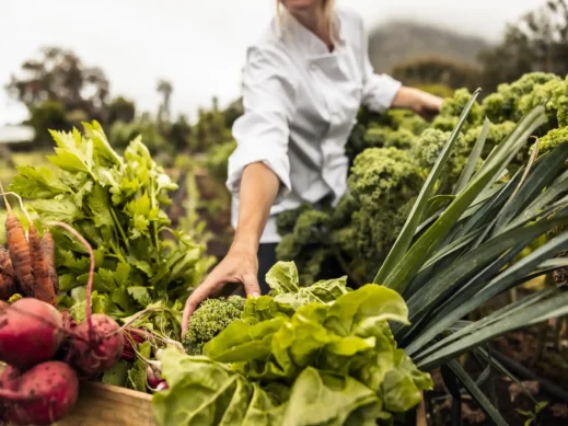 farm-to-table-fresh-vegetables