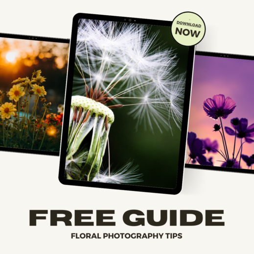 Free Guide to Floral Photography Tips